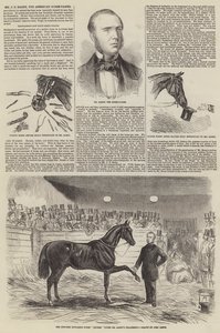Mr J S Rarey, den amerikanske hestetemmeren