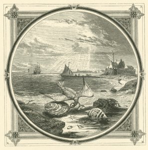 Biteren bitt (gravering) av John Leighton