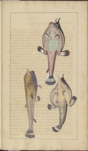 Lindsay Drawings Vol. VII, 27 av John Lindsay