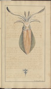 Lindsay Drawings Vol. VII, 29 av John Lindsay
