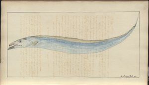 Lindsay Drawings Vol. VII, 9 av John Lindsay