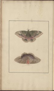 Lindsay Drawings Vol. VI av John Lindsay