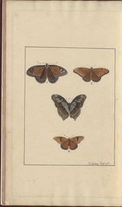 Lindsay Drawings Vol. VI, 29 av John Lindsay