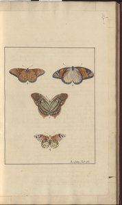 Lindsay Drawings Vol. VI, 30 av John Lindsay