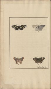 Lindsay Drawings Vol. VI, 35 av John Lindsay