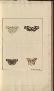 Lindsay Drawings Vol. VI, 36 av John Lindsay