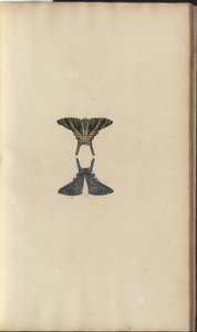 Lindsay Drawings Vol. VI, 48 av John Lindsay