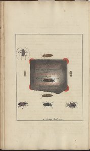 Lindsay Drawings Vol. VI, 95 av John Lindsay