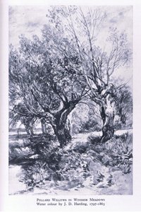 Woodcutters i utkanten av Windsor Forest, Nature in Britain utgitt av Collins av John Linnell