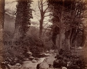 Uten tittel, c. 1859. av John Lloyd