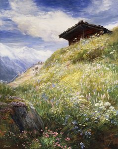 An Alpine Meadow, Sveits,