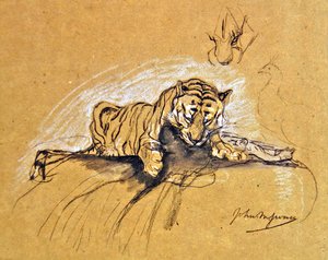 Tigress eating, ca. 1875 (kull og farget kritt på papir)