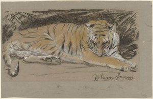 Tigress