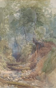 En bekk nær Clovelly, North Devon, 1850.
