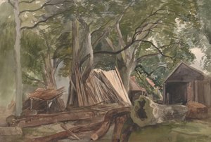 Rydding med trelastfabrikk, 1847.