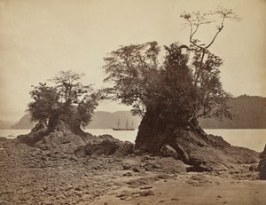 Øyene i Lemon Bay, 1871. av John Moran