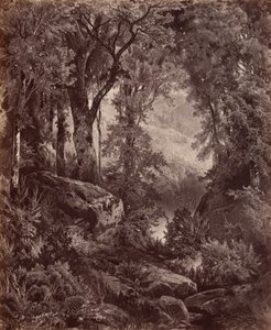  av John Moran