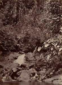 Tropisk landskap, Cascade, Limon River, 1871.