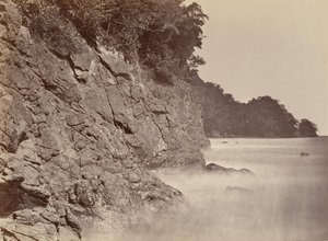 Tropisk natur, Cliff - Limon Bay, 1871. av John Moran