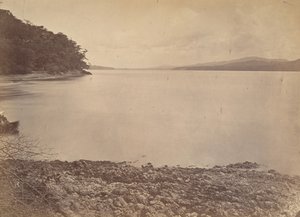 Tropical Scenery, Darien Harbour - Looking South, 1871. av John Moran