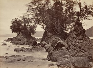 Tropisk landskap, Limon Bay - lavvann, 1871.
