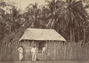 Tropisk landskap, Native Hut, Turbo, 1871.