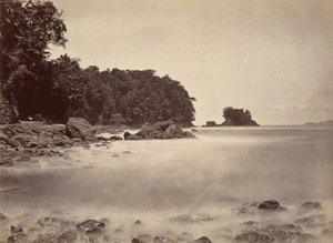 Tropisk landskap, utsikt over Limon Bay, 1871.