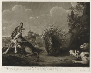 Porcupine and Three Dogs A Porcupine & Dogs (tittel på objekt)