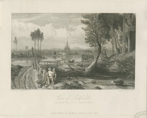 Lichfield - Eastview: stålgravering, og [c 1835] (trykk)