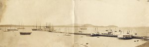 Auckland Harbour, 1865 (albumtrykk)