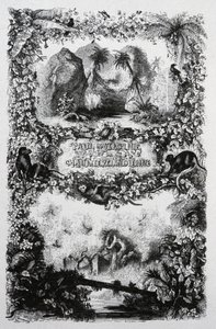 Paul og Virginia, ca. 1860–1870 (gravering) av John Orrin-Smith