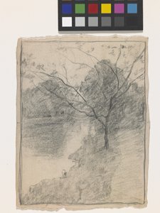 Tree Beside A Stream (blyant på off-white papir)