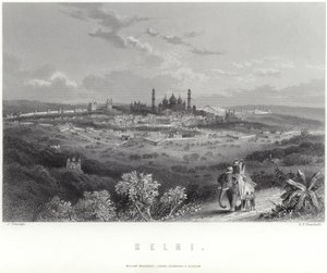 Delhi i India