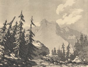 Gran og edelgran av John Robert Cozens