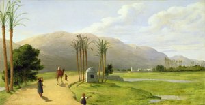 Asyut på Nilen, 1873