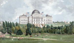 Vestfronten av United States Capitol med kyr i forgrunnen 1831 (olje på lerret)