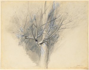  av John Ruskin
