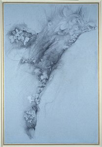 Mose og villjordbær av John Ruskin