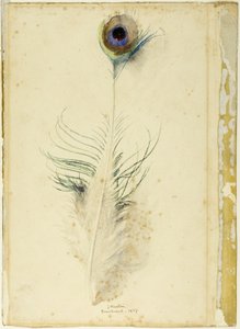 Påfuglfjær av John Ruskin