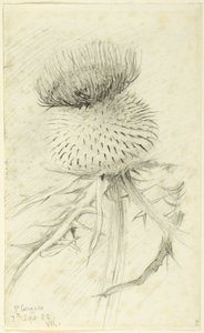 St. Cergues av John Ruskin