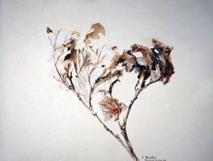 Studie av eikeblader av John Ruskin