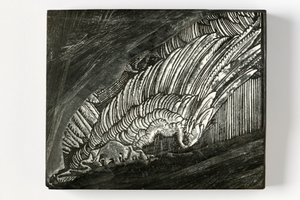 'Wing' fra Durer (gravert trekloss) av John Ruskin