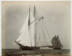  av John S. Johnston