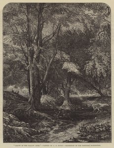 Tilholdssted for dåhjorten