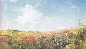 Sommerlandskap