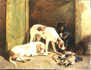 Pekere og en Gordon Setter