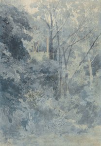 I Rokeby Park av John Sell Cotman