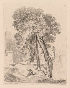 Liber Studiorum: Plate 18, Trees at Norwich Thorp, Norfolk av John Sell Cotman