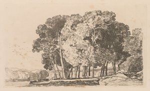 Liber Studiorum: Plate 3, trær nær Twickenham av John Sell Cotman