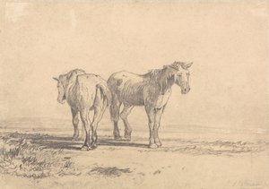  av John Sell Cotman